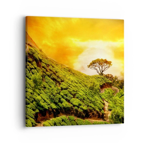 Tablou pe pânză - O cărare sinuoasă, o pantă verde - 40x40 cm