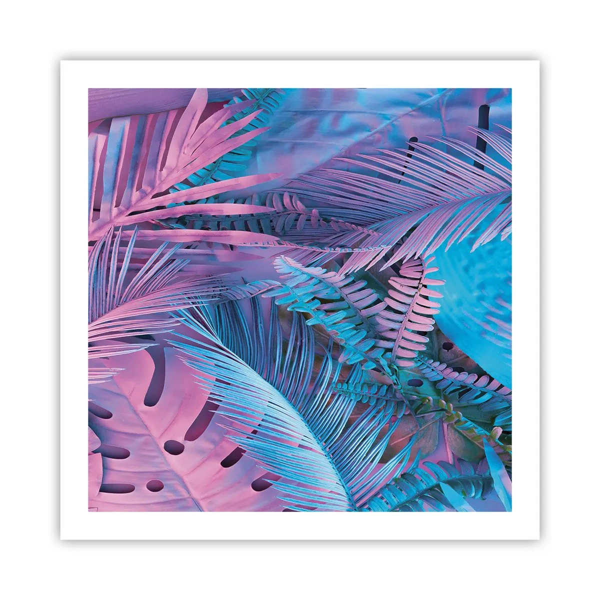 Poster - Palmieri în alb și albastru - 60x60 cm