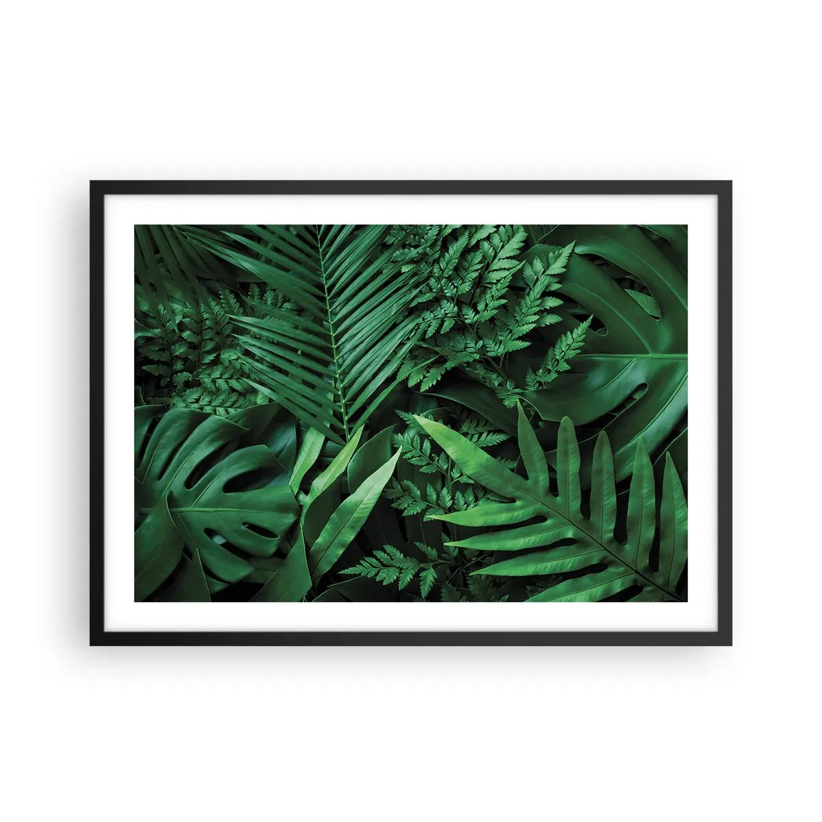 Poster în ramă neagră - Înfășurate în verde - 70x50 cm
