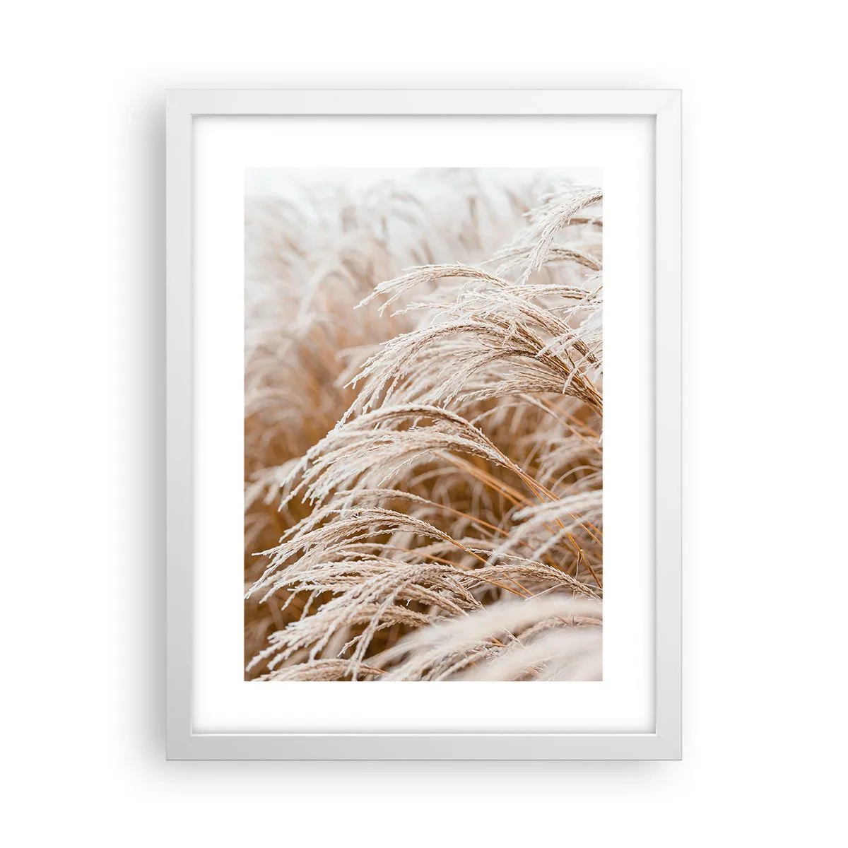 Poster în ramă albă - Închinându-se la soarele toamnei - 30x40 cm