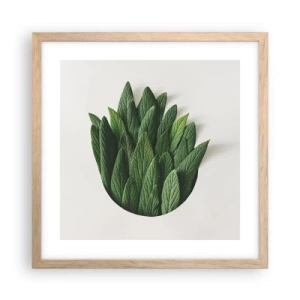 Poster în ramă de stejar deschis - Curiozitatea nestăvilită - 40x40 cm