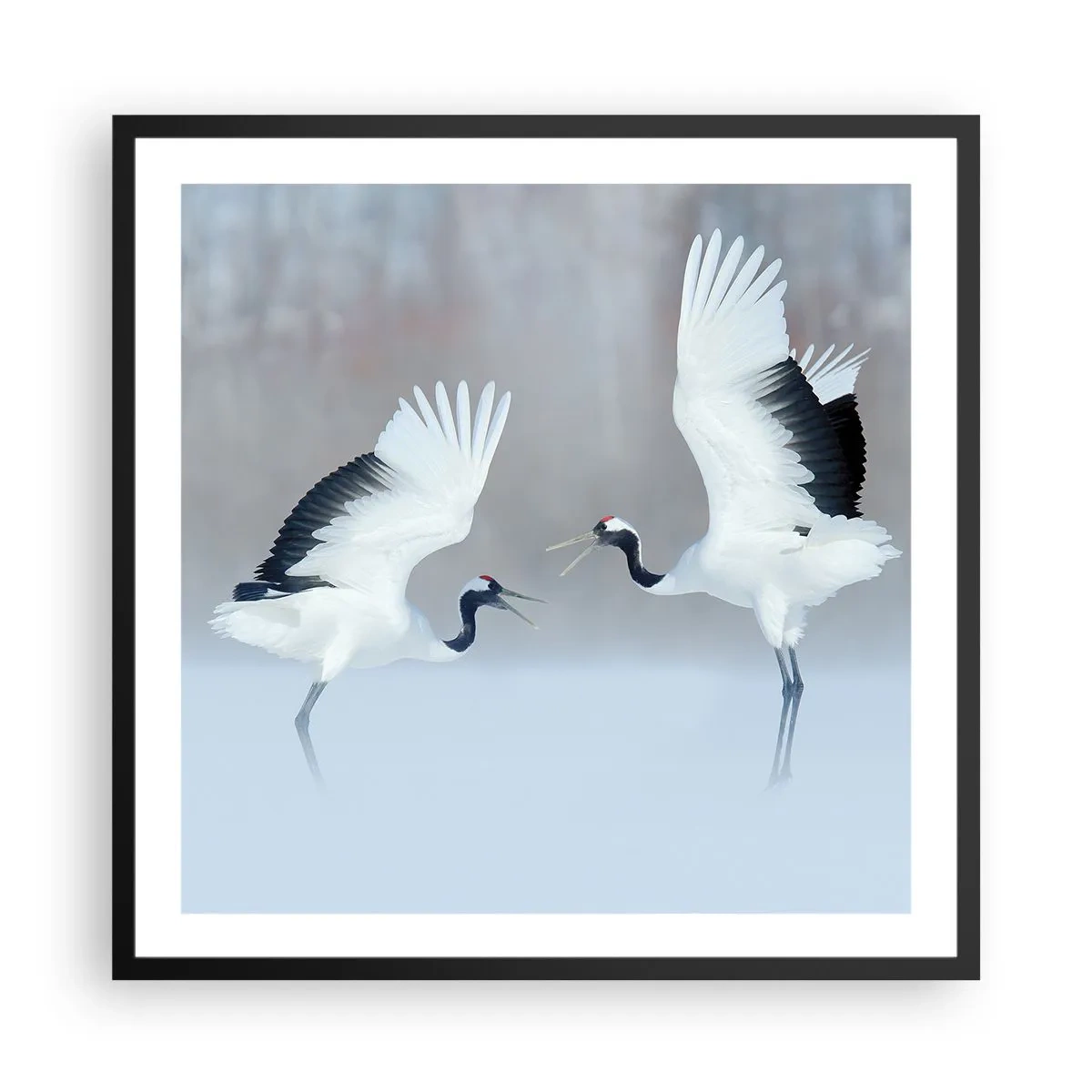 Poster în ramă neagră - Dansând în ceață - 60x60 cm