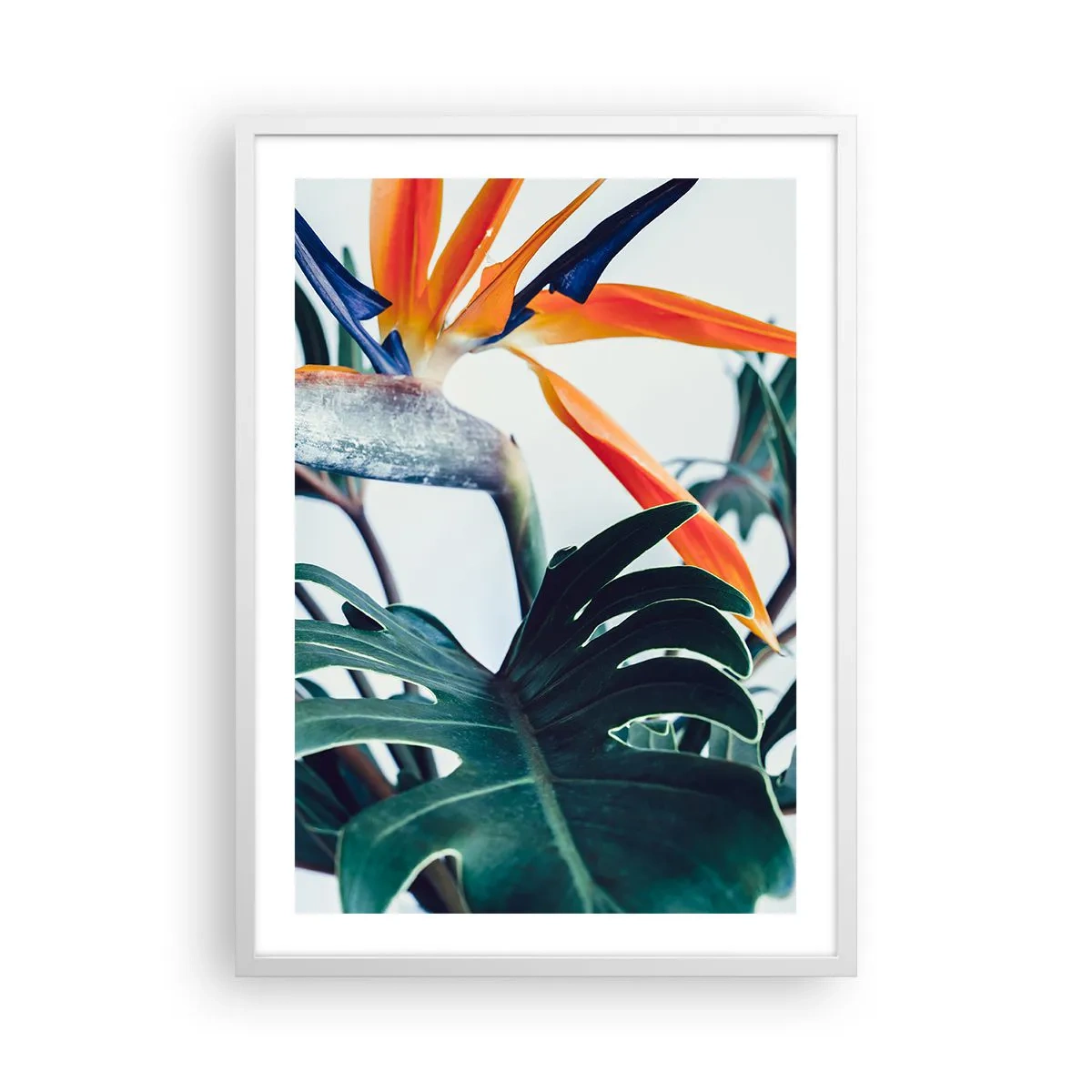 Poster în ramă albă - Tufiș sau pasăre? - 50x70 cm