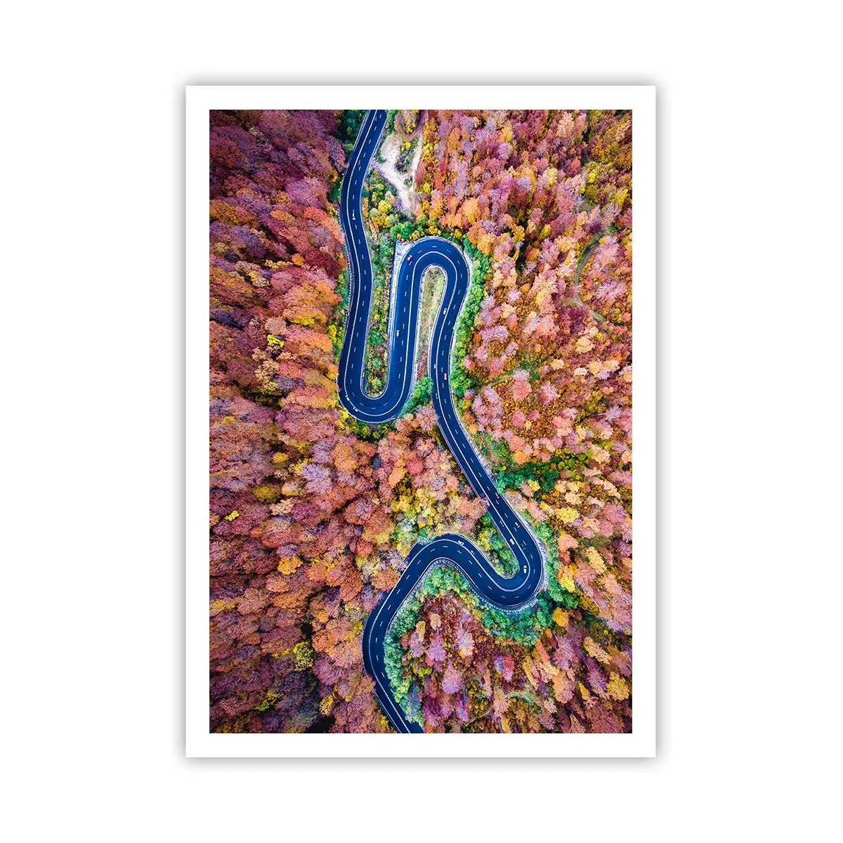 Poster - Un drum șerpuit prin pădure - 70x100 cm
