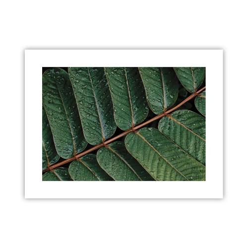 Poster - Într-un ritm verde - 40x30 cm