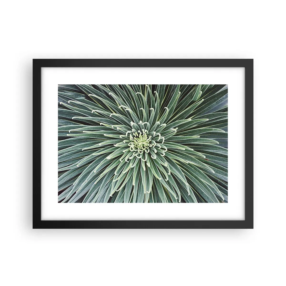 Poster în ramă neagră - Nașterea unei stele - 40x30 cm