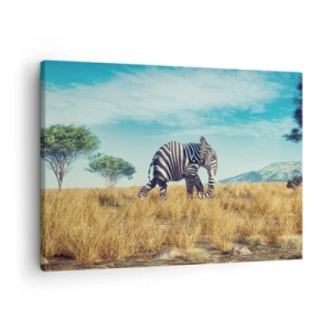 Tablou pe pânză Canvas - Zebră într-un peisaj african - 70x50cm - Griul nu mai este la modă - Decorațiune modernă pentru perete pentru living și dormitor ARTTOR