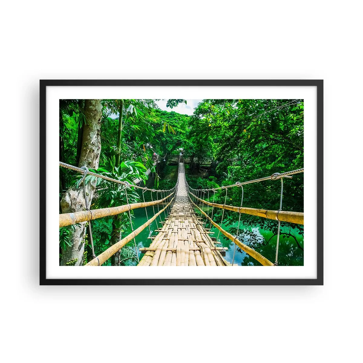 Poster în ramă neagră - Pod de maimuțe peste verdeață - 70x50 cm
