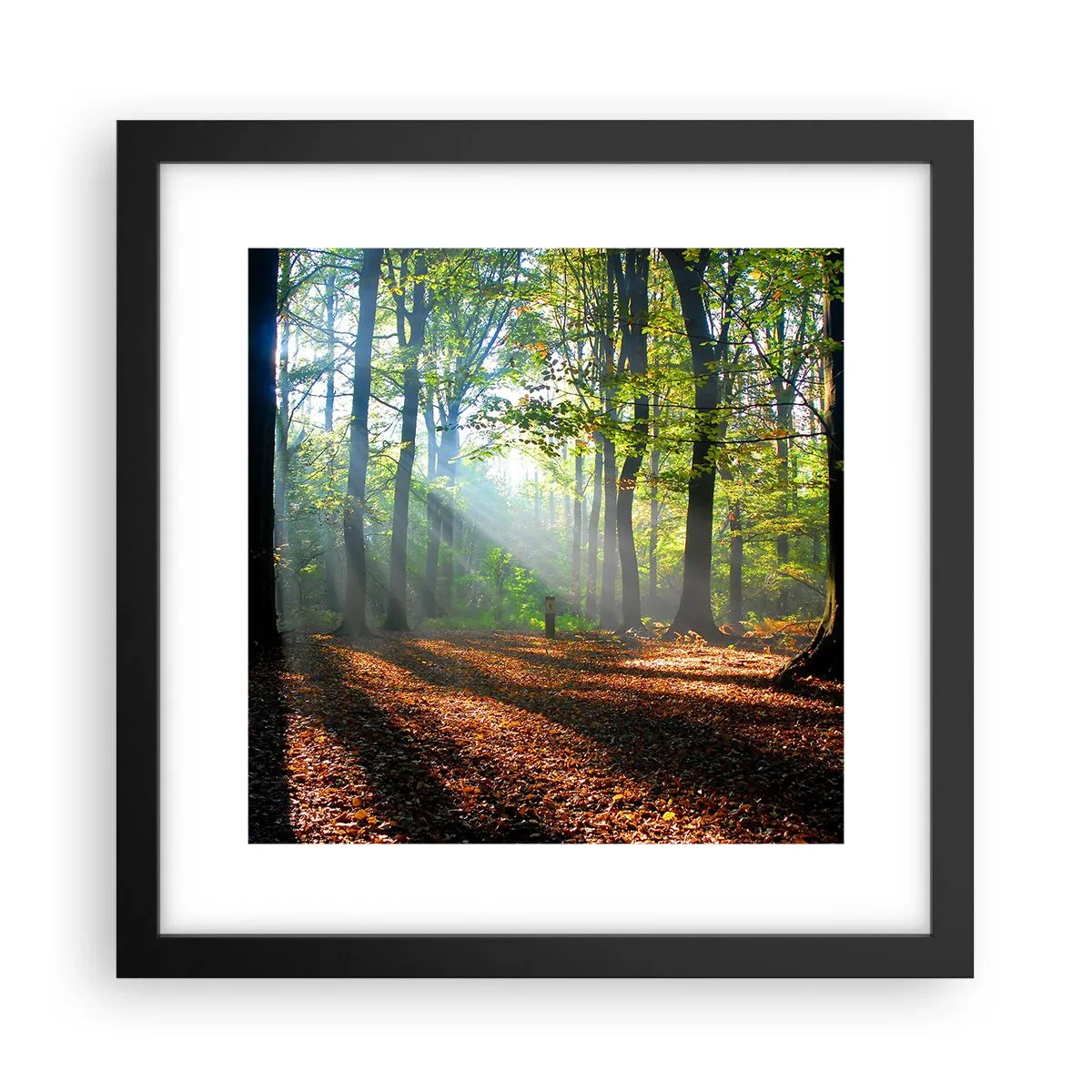 Poster în ramă neagră - Străluciri și umbre - 30x30 cm