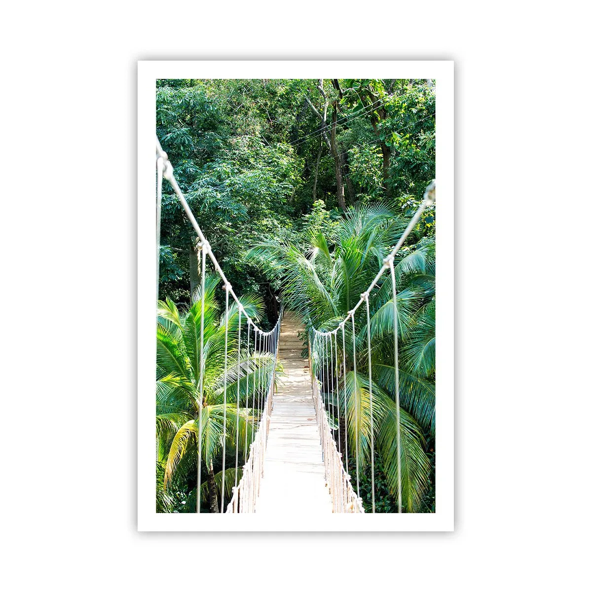 Poster - Welcome to the jungle! - 61x91 cm