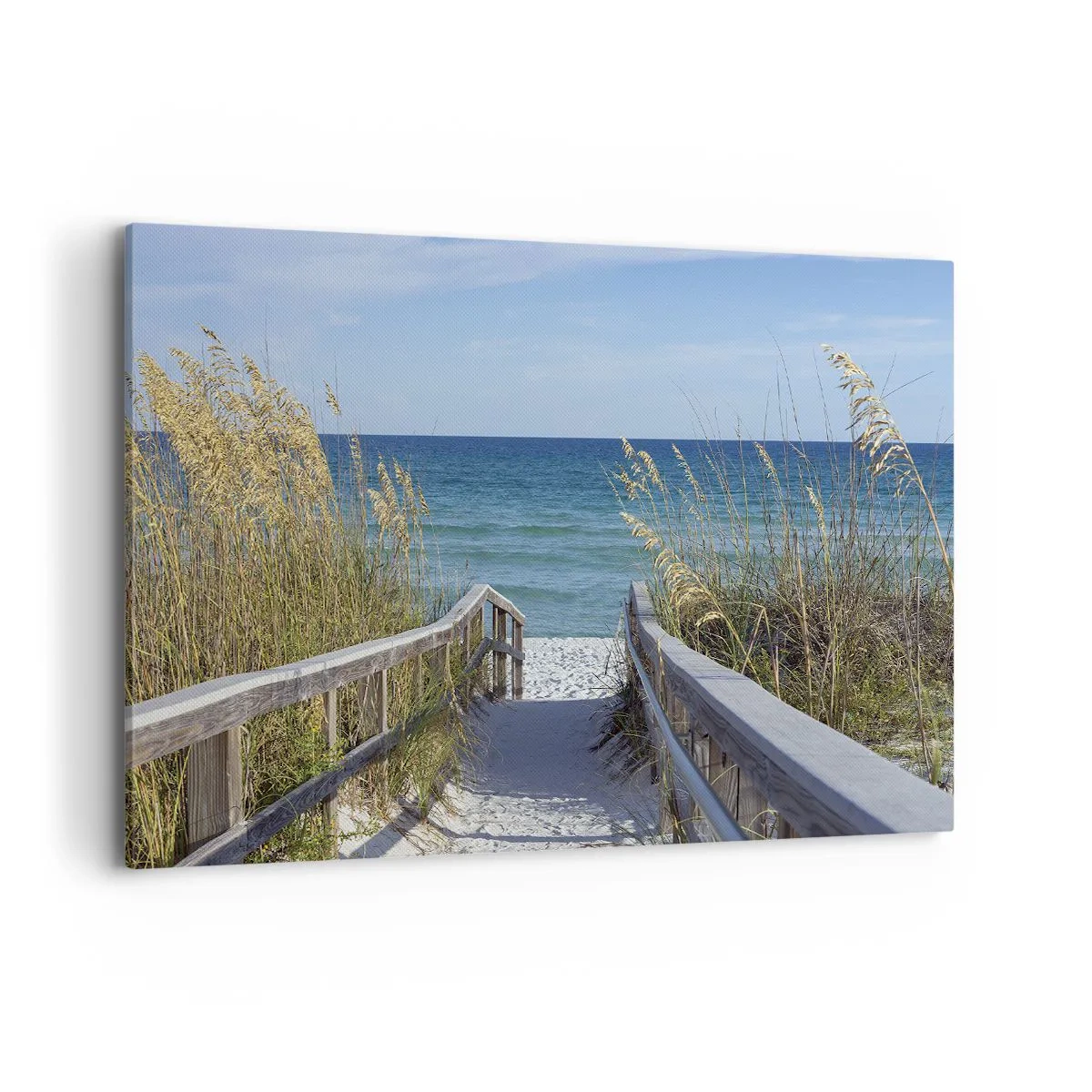 Tablou pe pânză - În soare, în vânt - 120x80 cm