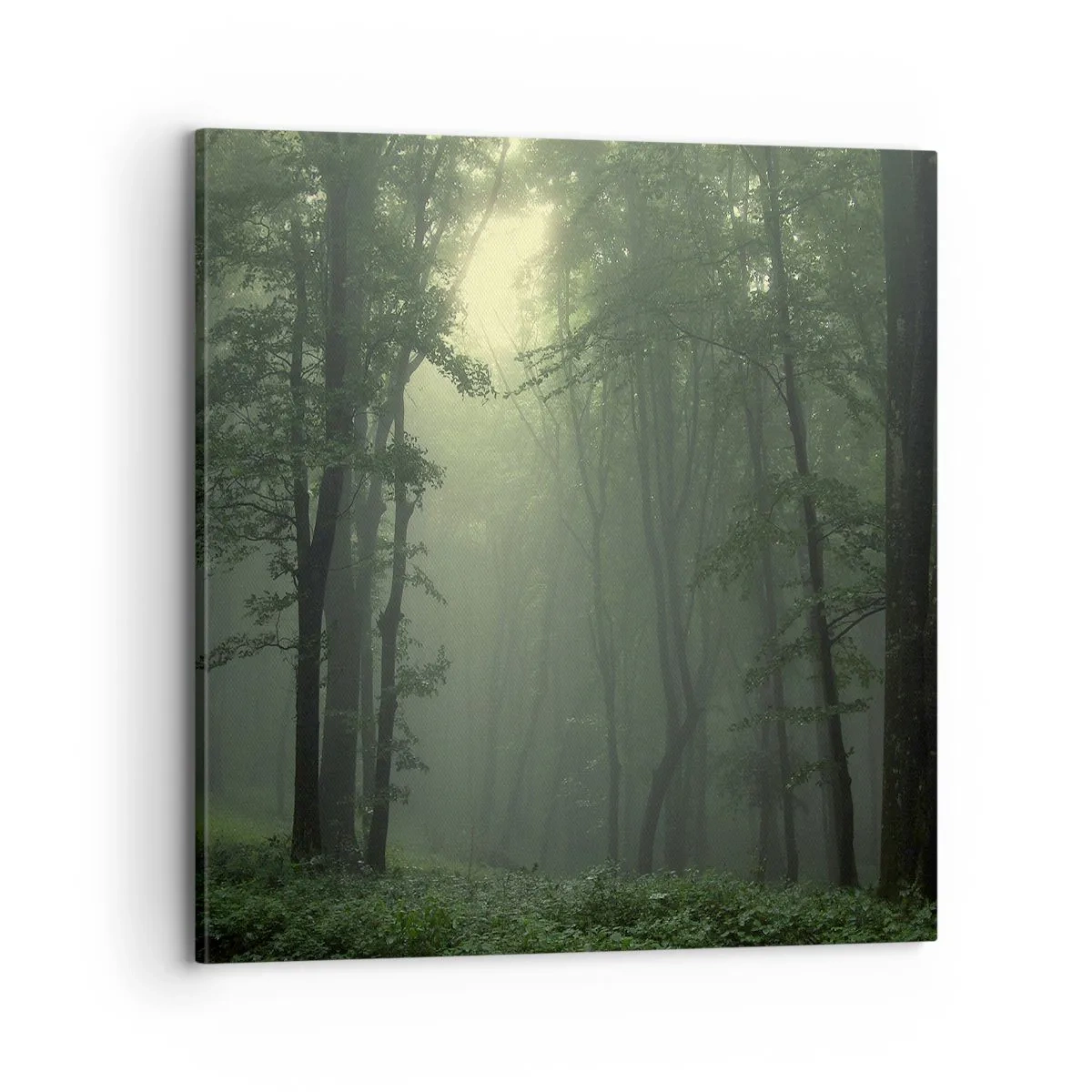 Tablou pe pânză - Înainte să se trezească - 70x70 cm