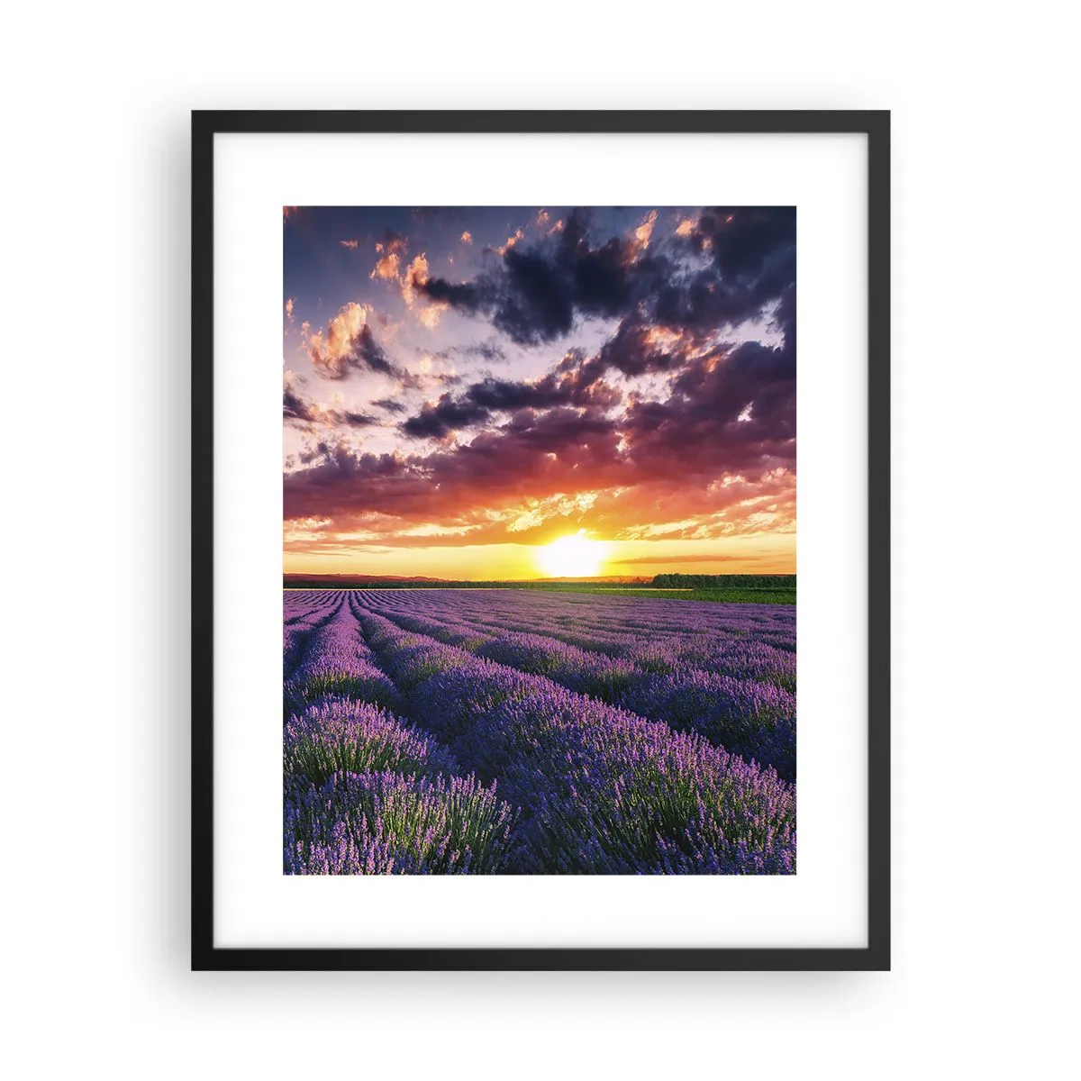 Poster în ramă neagră - Lumea lavandei - 40x50 cm