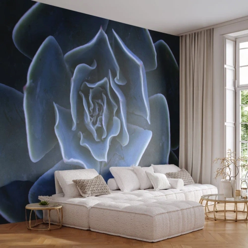 Tapet Standard Eco - Floare de deșert - Floare de agave, Floare, Natură - 400x280 cm