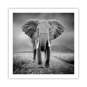 Poster - Gazda te salută - 60x60 cm