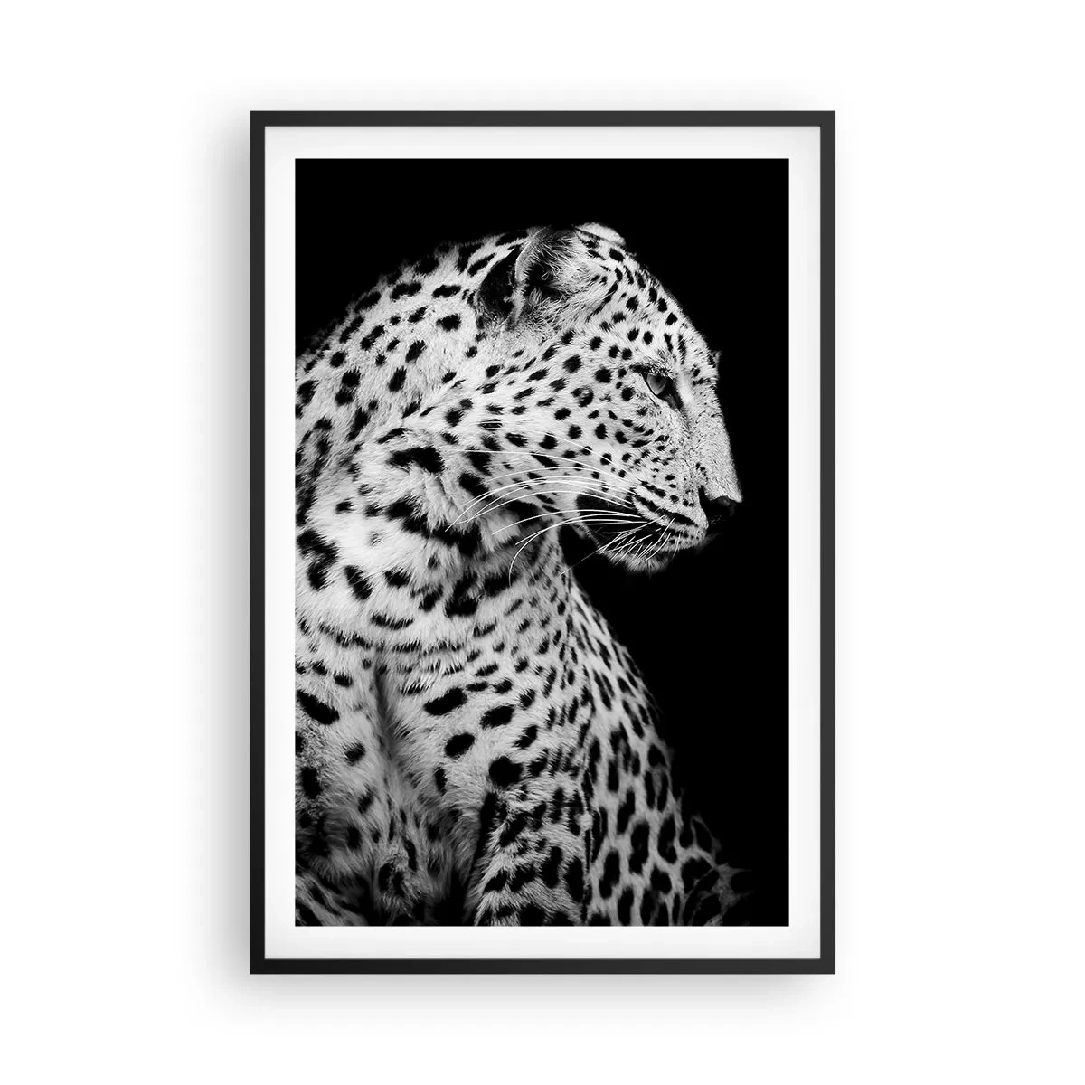 Poster în ramă neagră - Profilul drept perfect! - 61x91 cm