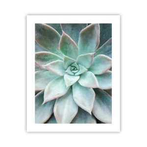 Poster - Inima deșertului - 40x50 cm