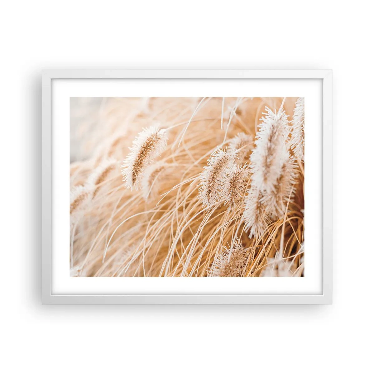 Poster în ramă albă - Foșnetul auriu al ierburilor - 50x40 cm