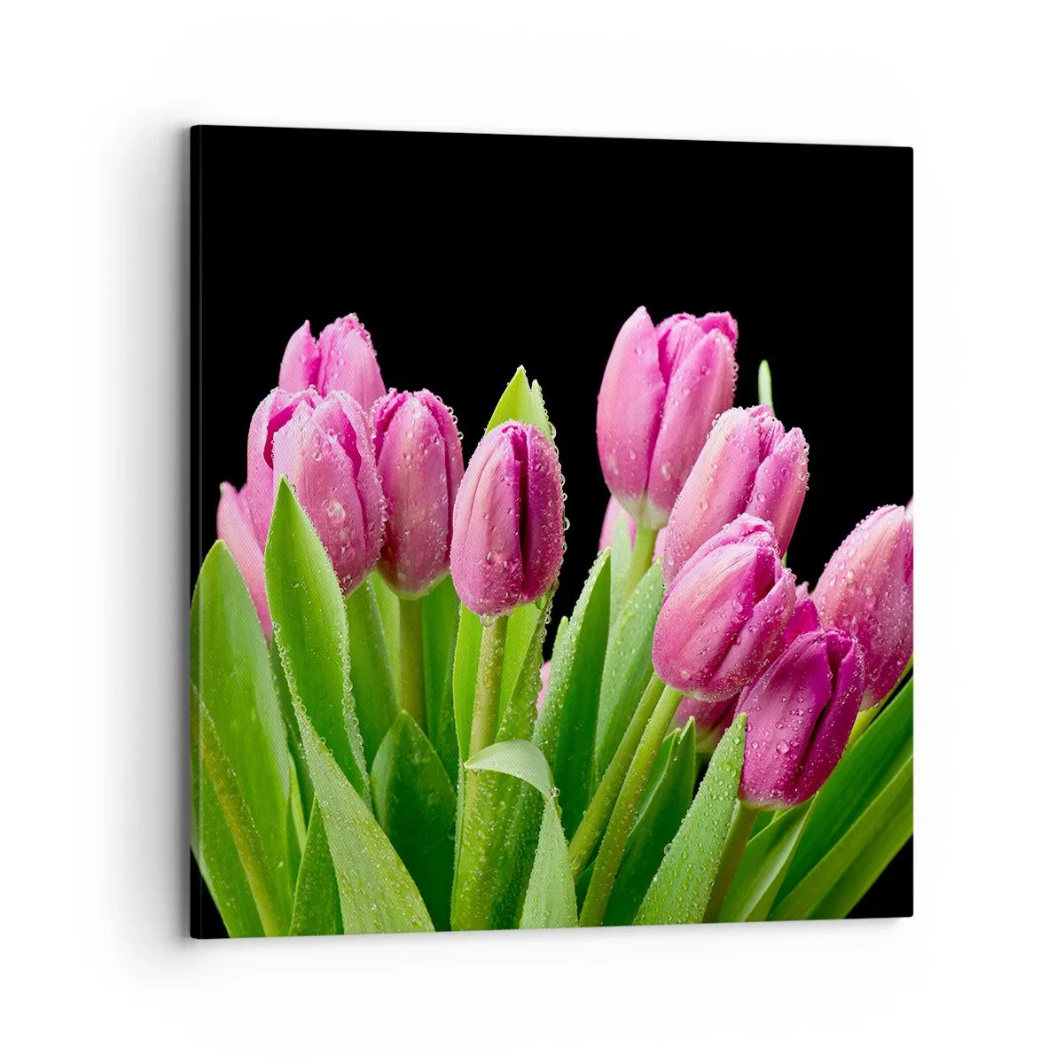 Tablou pe pânză - Bucurie de liliac de primăvară - 70x70 cm