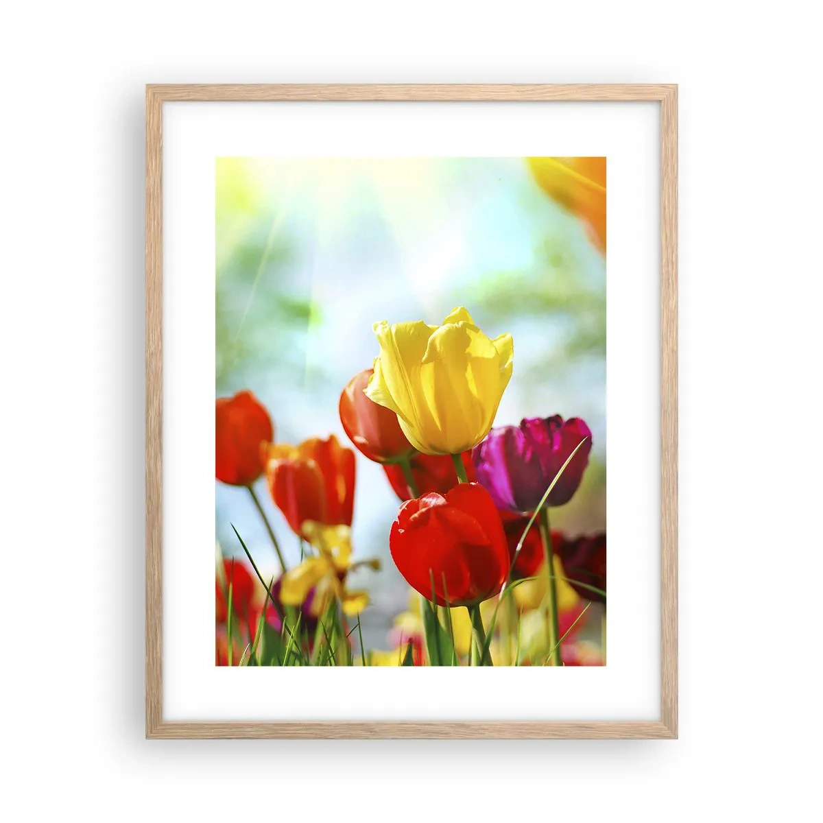 Poster în ramă de stejar deschis - Toate culorile soarelui - 40x50 cm