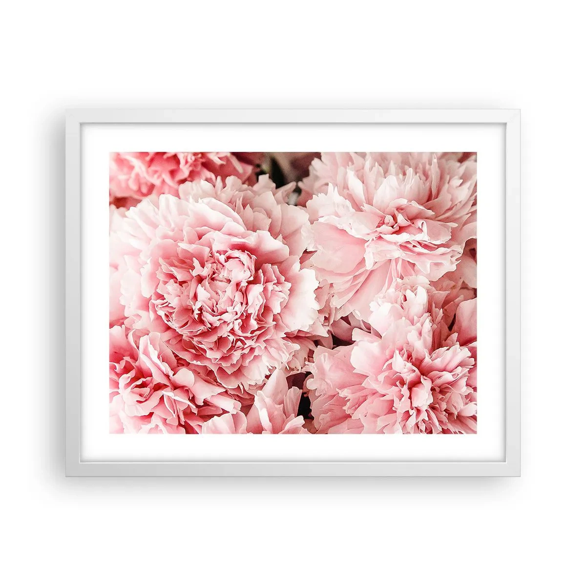 Poster în ramă albă - Visul roz - 50x40 cm