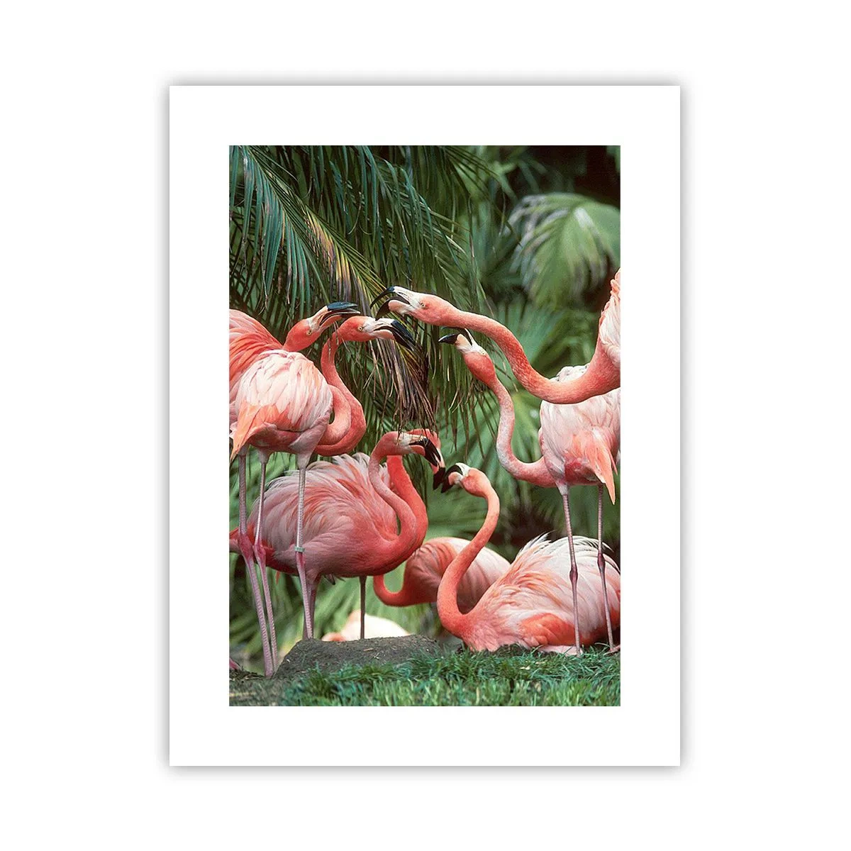 Poster - Bârfa de după-amiază - 30x40 cm