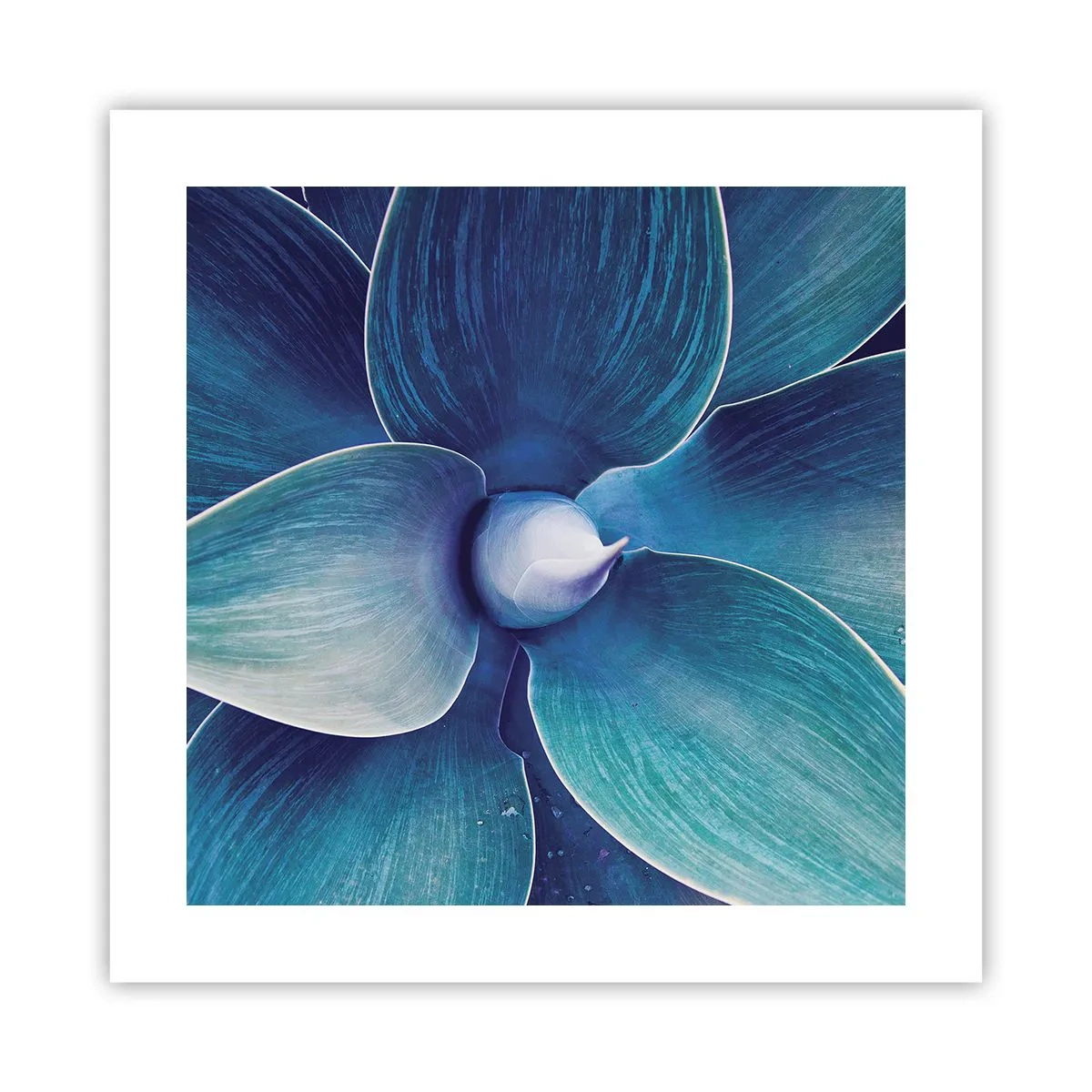 Poster - A furat albastrul de la cer - 40x40 cm