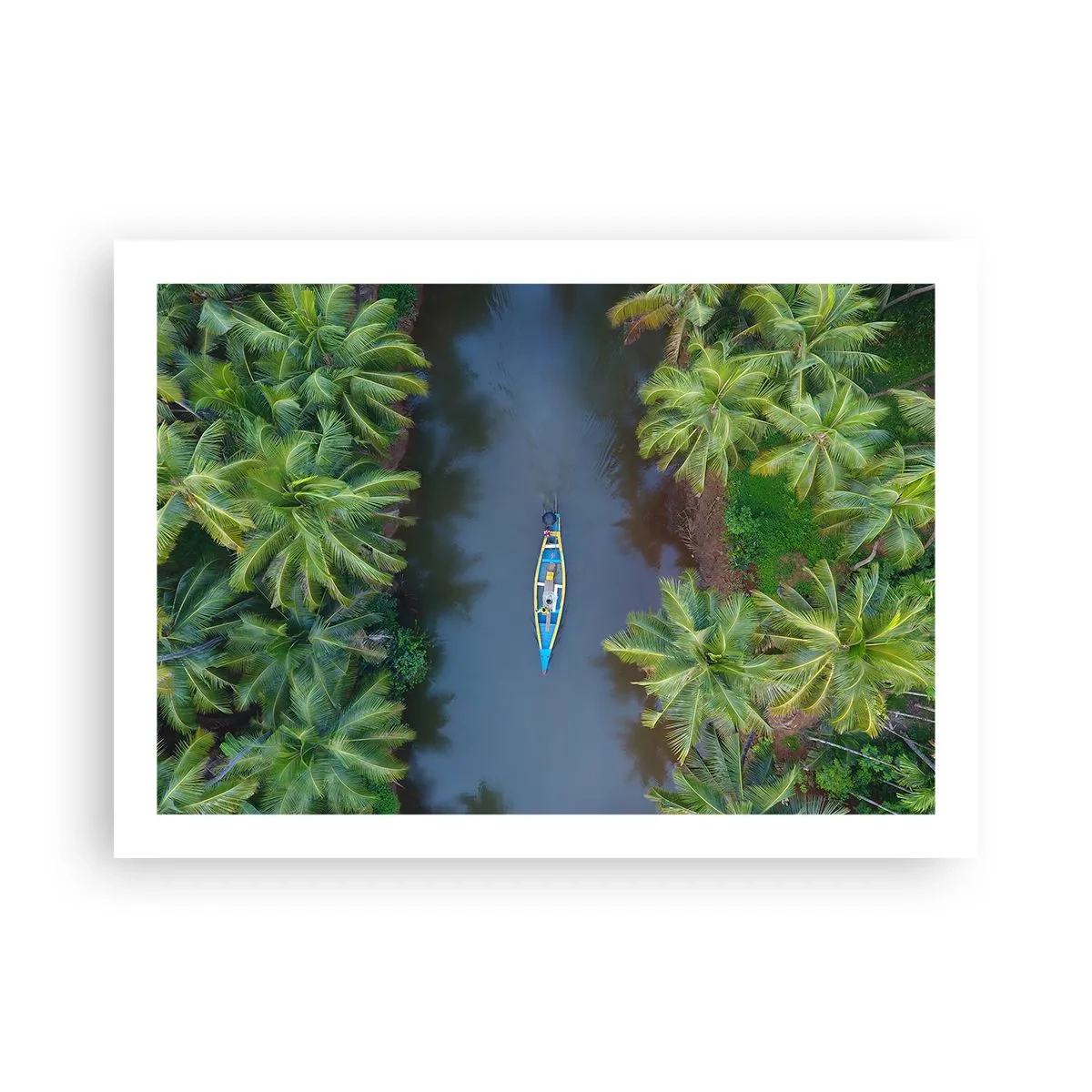 Poster - Pe traseul tropical - 70x50 cm