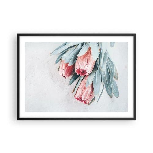 Poster în ramă neagră - Rușinate de propria lor frumusețe - 70x50 cm