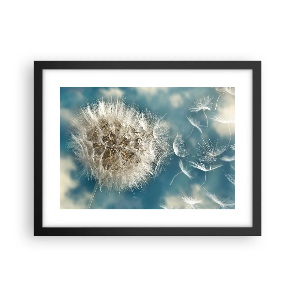 Poster în ramă neagră - Respirația unui înger - 40x30 cm