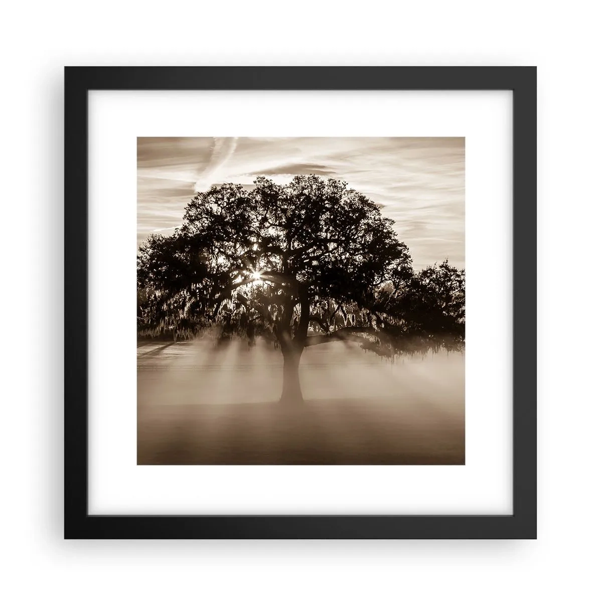 Poster în ramă neagră - Un copac de vești bune - 30x30 cm