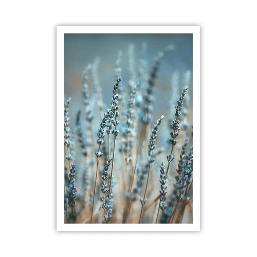 Poster - Câmpul parfumat - 70x100 cm