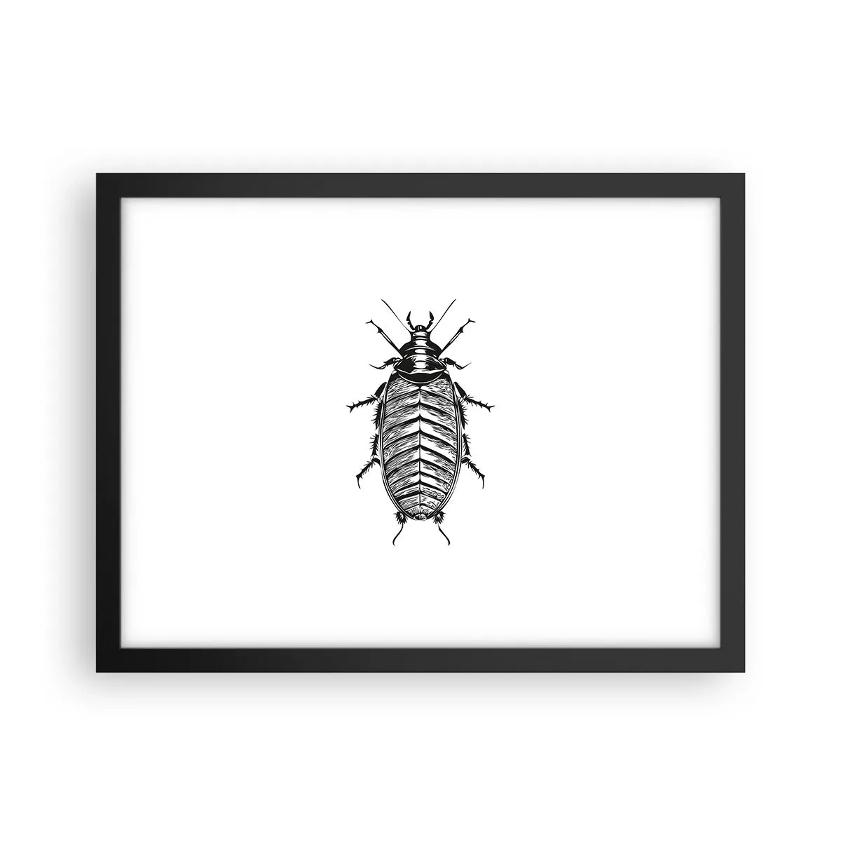 Poster în ramă neagră - Ce specimen! - 40x30 cm