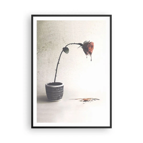 Poster în ramă neagră - Rosa dolorosa - 70x100 cm