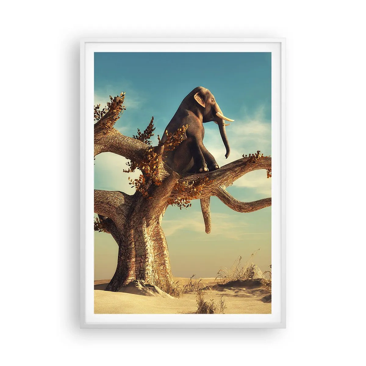 Poster în ramă albă - Un nou punct de vedere - 70x100 cm