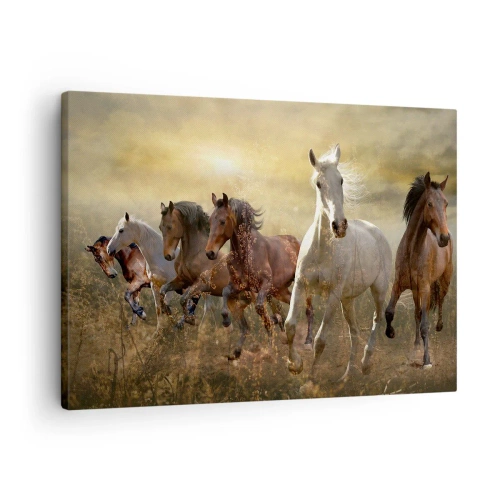 Tablou pe pânză Canvas - Un grup de cai în galop pe fundalul soarelui apus - 70x50cm - Trăiască libertatea! - Decorațiune modernă pentru perete pentru living și dormitor ARTTOR
