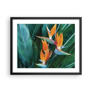 Poster în ramă neagră - Este o floare sau o pasăre? - 50x40 cm