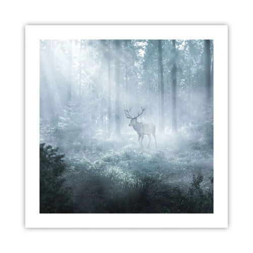 Poster - Plimbarea de dimineață prin regat - 50x50 cm