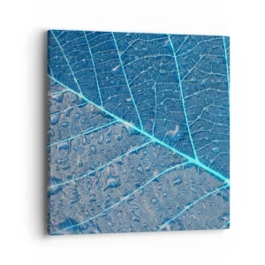 Tablou pe pânză - Viața în albastru - 40x40 cm