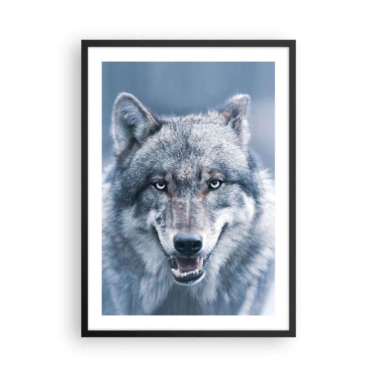 Poster în ramă neagră - Portretul unui lup pe fundalul unui peisaj de iarnă - 50x70cm - Accepți provocarea? - Decorațiune modernă pentru perete pentru living și dormitor ARTTOR