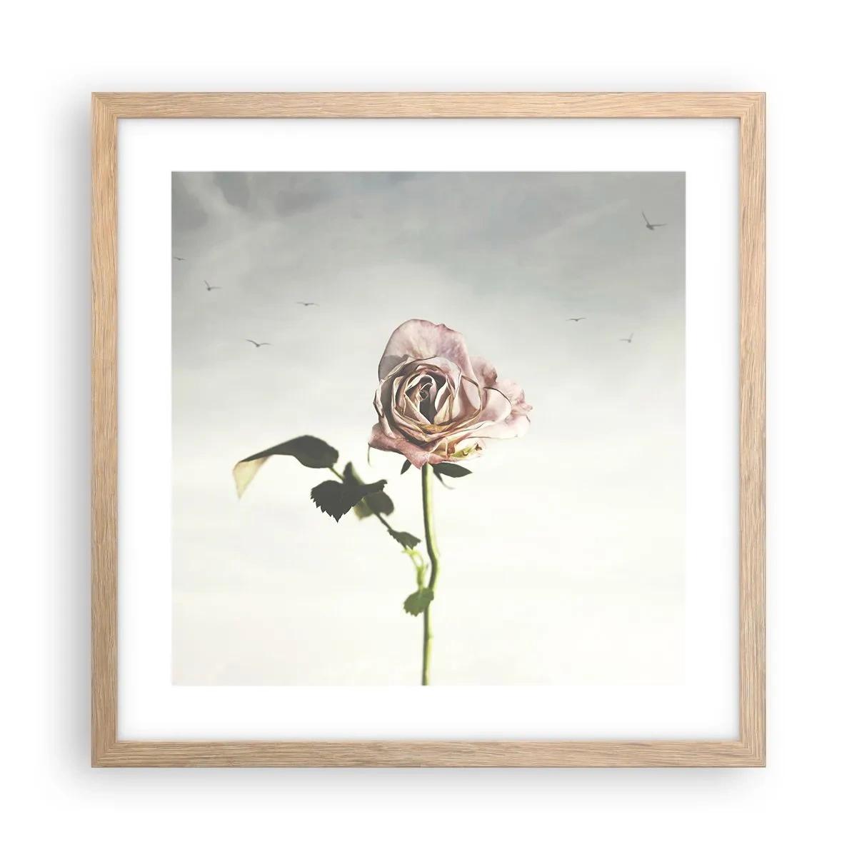 Poster în ramă de stejar deschis - Primăvara binevenită - 40x40 cm