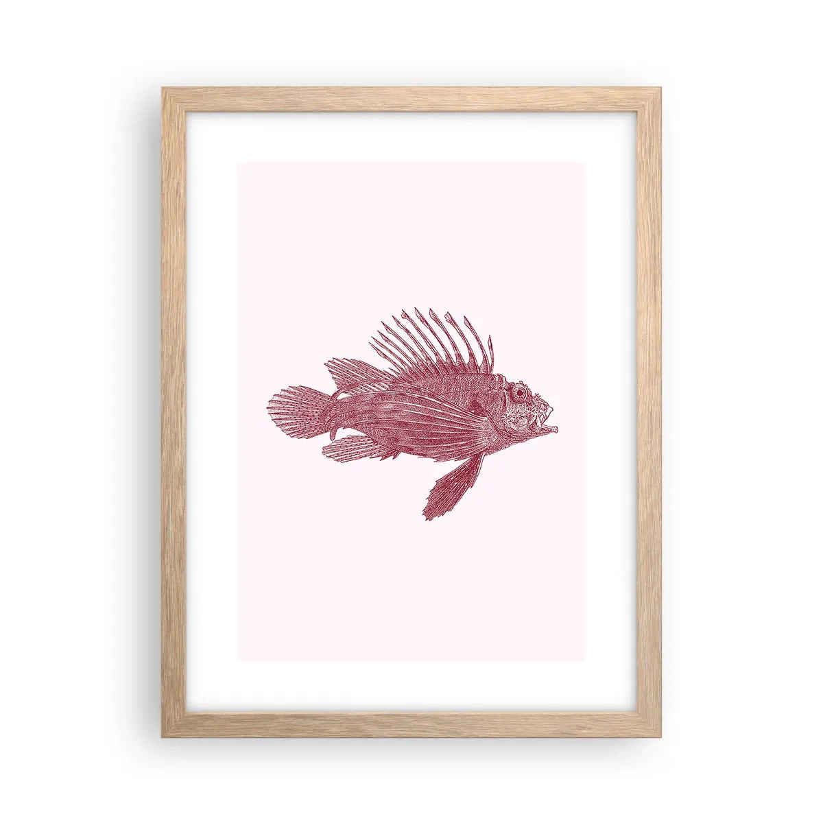 Poster în ramă de stejar deschis - Un locuitor al apelor exotice - 30x40 cm