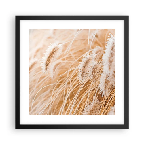 Poster în ramă neagră - Foșnetul auriu al ierburilor - 40x40 cm