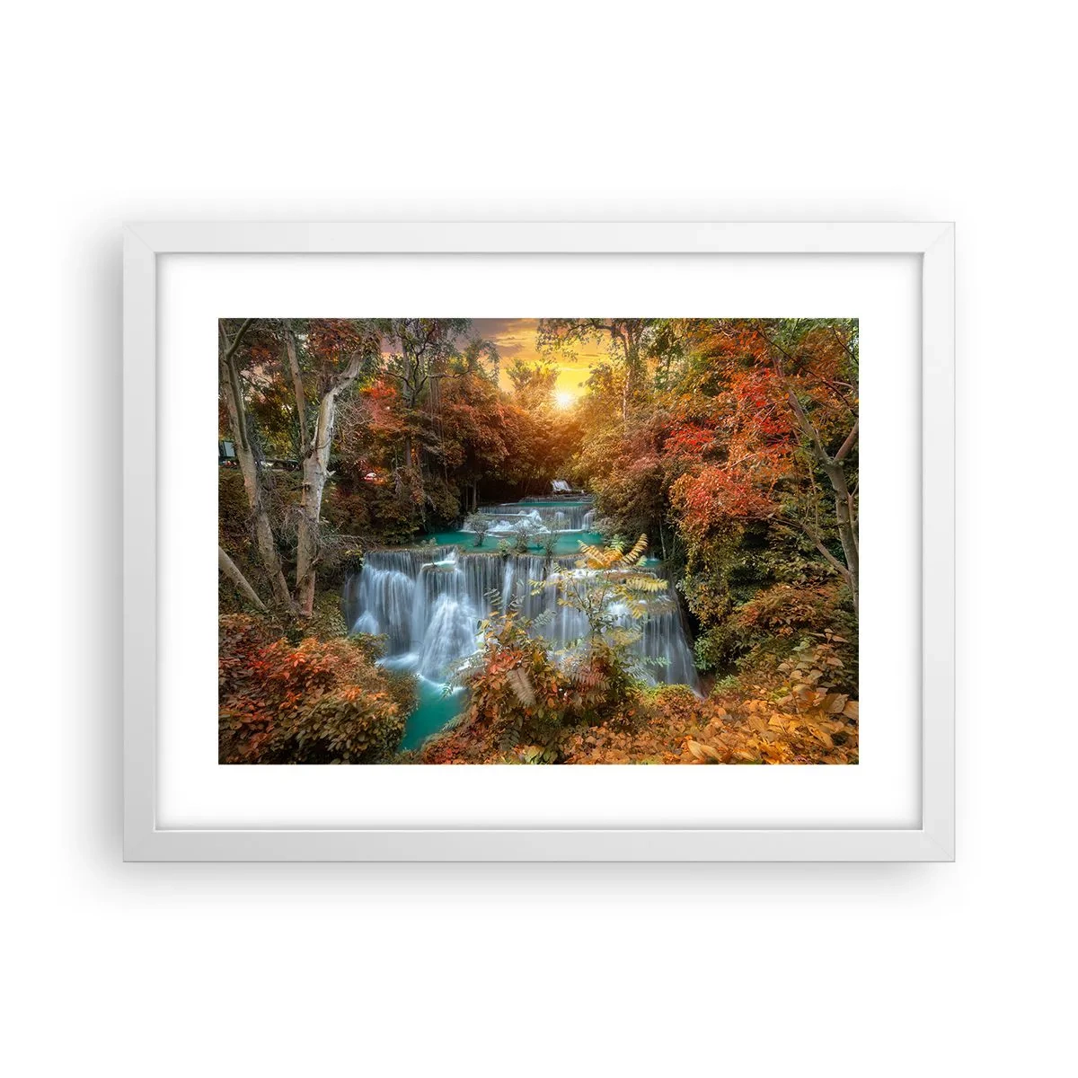 Poster în ramă albă - Comoara ascunsă a pădurii - 40x30 cm