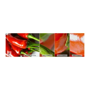 Mostră tapet Premium Canvas - Suculent, strălucitor, neted - Gastronomie, Piper, Legume - 100x30 cm