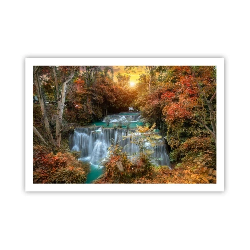 Poster - Comoara ascunsă a pădurii - 91x61 cm