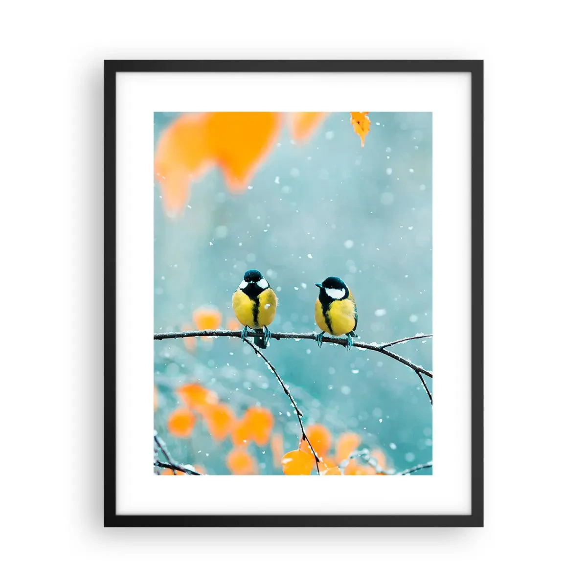 Poster în ramă neagră - Bârfele păsărilor - 40x50 cm