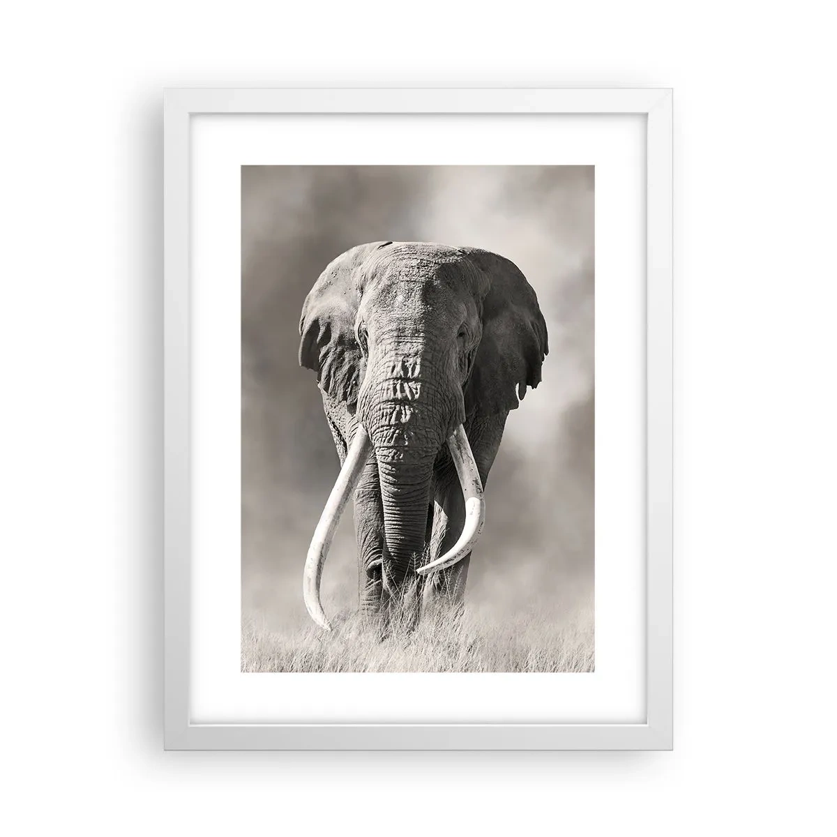 Poster în ramă albă - Patriarh african - 30x40 cm