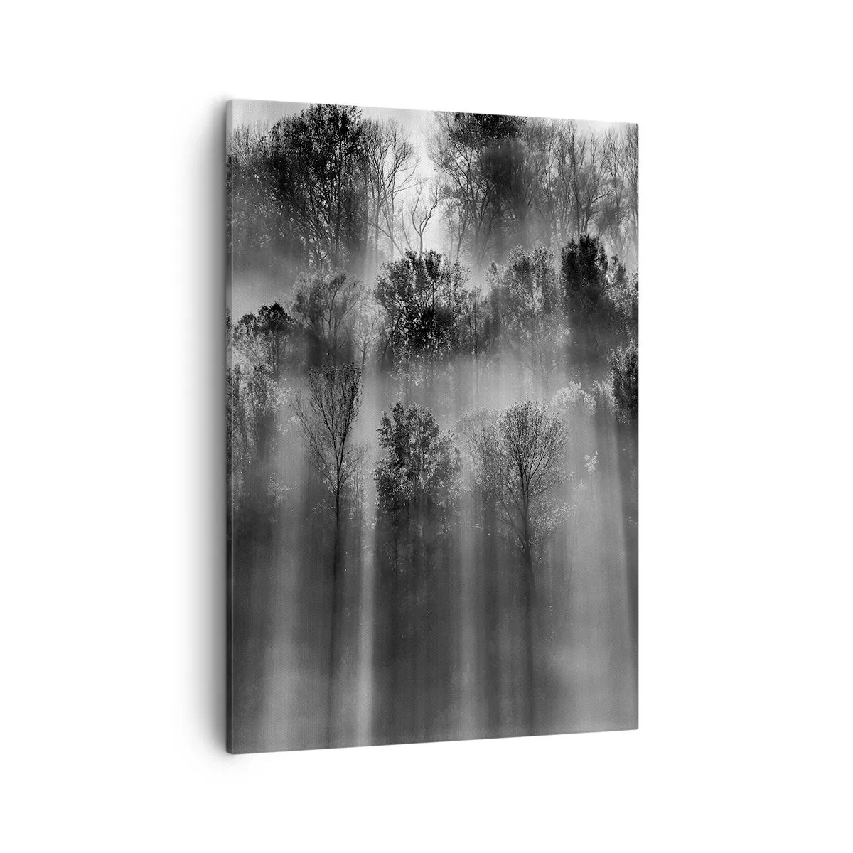 Tablou pe pânză - În fluxuri de lumină - 50x70 cm