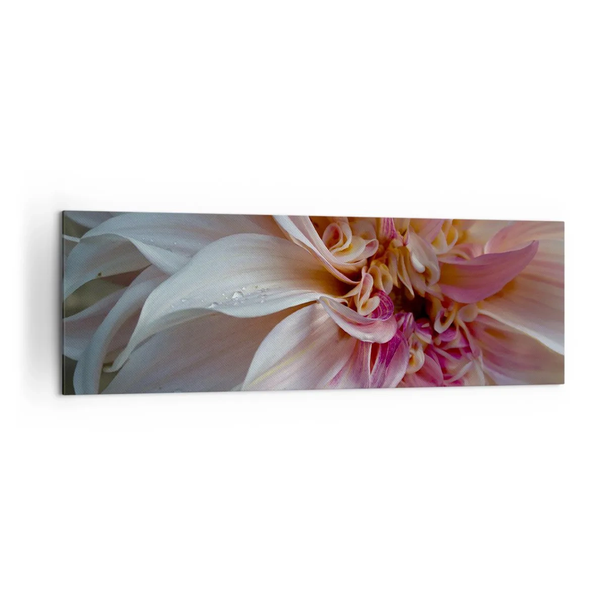 Tablou pe pânză - Prospețime înfloritoare - 160x50 cm